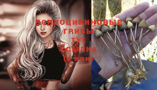 гидропоника Майский