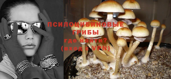 соль ск Медвежьегорск