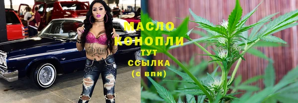 apvp Медногорск