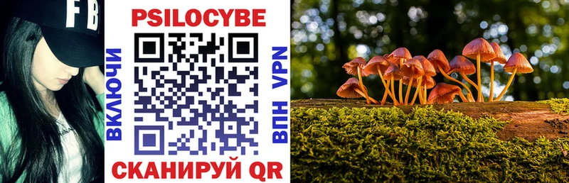 дарнет шоп  Нижняя Тура  Псилоцибиновые грибы мицелий 